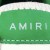 Amiri Skel Top Low 'White Green'